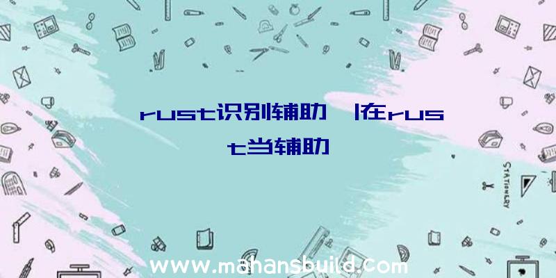 「rust识别辅助」|在rust当辅助